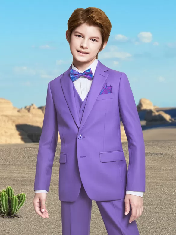 boys suits 5 pieces lavender color china