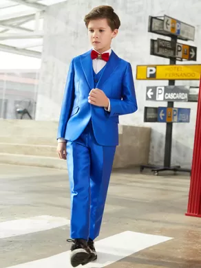 CLASSICAL SUIT ZS902 Blue